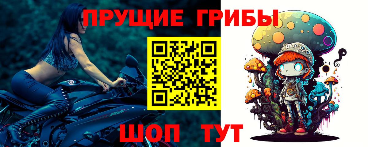 Галлюциногенные грибы ЛСД Псков